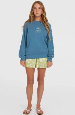 DamesBeach Vintage Crew sweater| Blauw