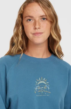 DamesBeach Vintage Crew sweater| Blauw