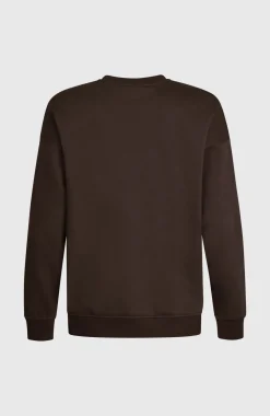DamesFuture Surf Crew sweater| Bruin