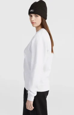 DamesWomen of the Wave Crew sweater| Wit