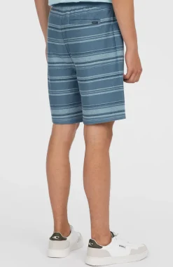 HerenBavaro short| Blauw