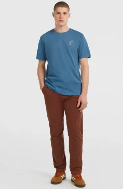 HerenEssentials chinobroek| Bruin
