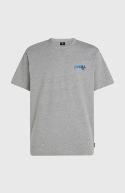 HerenEssentials 90s Graphic T-shirt| Grijs