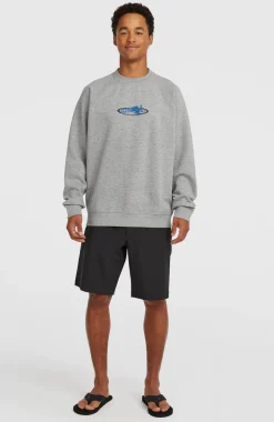 HerenEssentials 90s Logo Crew sweater| Grijs