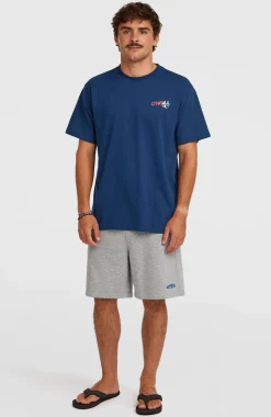 HerenEssentials 90s sweatshort| Grijs