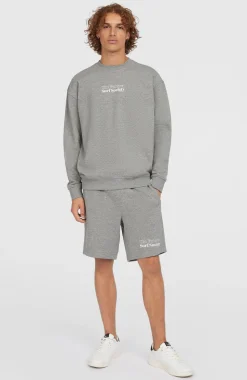 HerenFuture Surf Society Crew sweater| Grijs
