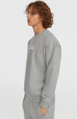 HerenFuture Surf Society Crew sweater| Grijs