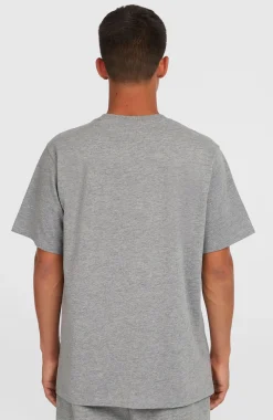 HerenFuture Surf Society T-shirt| Grijs