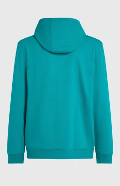 HerenGraphic hoodie| Blauw