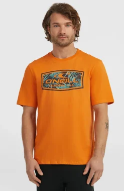 HerenGraphic T-shirt| Oranje