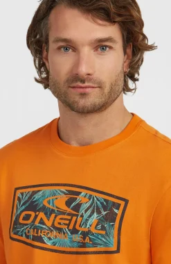 HerenGraphic T-shirt| Oranje