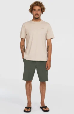 HerenHybrid Chino 19