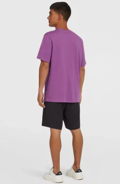 HerenHybrid Chino 19