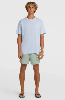 HerenO'Neill Cali 16'' zwembroek| Groen