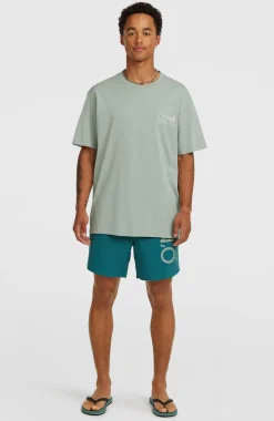HerenO'Neill Cali 16'' zwembroek| Groen