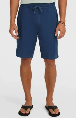 HerenO'Neill Essentials Ripstop cargoshort| Blauw