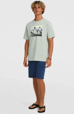 HerenO'Neill Essentials Ripstop cargoshort| Blauw