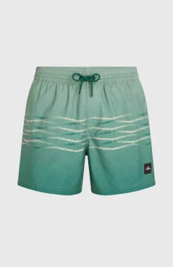 HerenO'Neill First 15'' zwembroek| Groen Mix