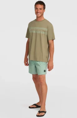 HerenO'Neill Flower Stripe T-shirt| Groen