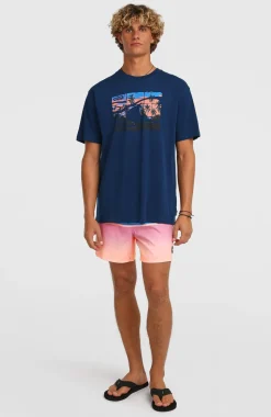 HerenO'Neill Gradient T-shirt| Blauw