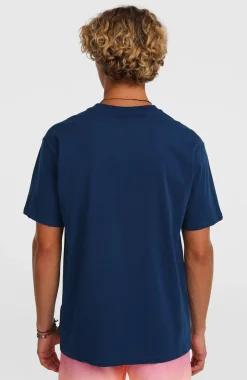 HerenO'Neill Gradient T-shirt| Blauw
