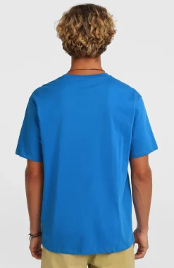 HerenO'Neill Gradient T-shirt| Blauw