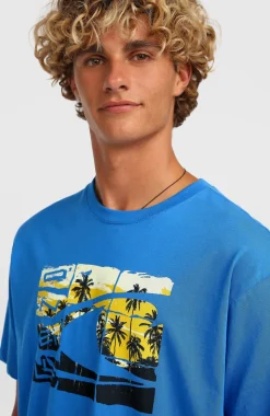HerenO'Neill Gradient T-shirt| Blauw