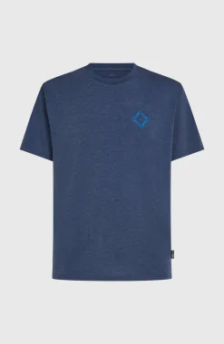 HerenO'Neill Hybrid Polygiene Back-Print T-shirt| Blauw