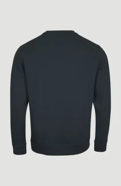 HerenO'Neill Logo Crew sweater| Blauw