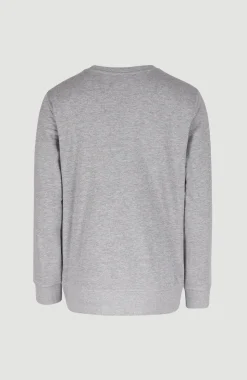 HerenO'Neill Logo Crew sweater| Grijs