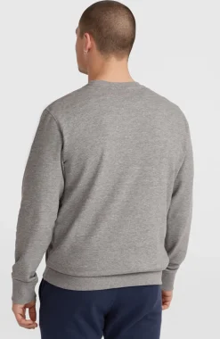 HerenO'Neill Logo Crew sweater| Grijs