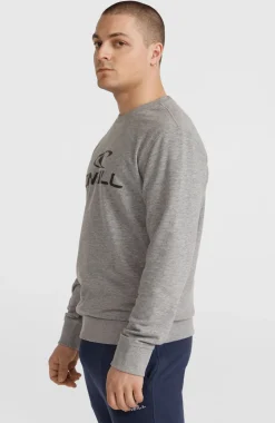 HerenO'Neill Logo Crew sweater| Grijs