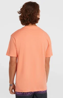 HerenO'Neill Logo Stripe T-shirt| Oranje