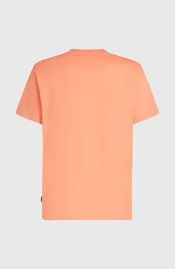 HerenO'Neill Logo Stripe T-shirt| Oranje
