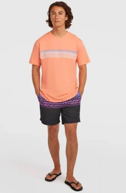 HerenO'Neill Logo Stripe T-shirt| Oranje