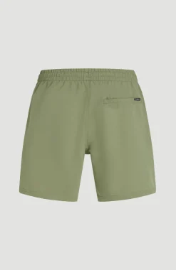HerenO'Neill Logo 16'' zwembroek| Groen