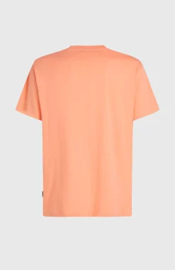 HerenO'Neill Muir T-shirt| Oranje