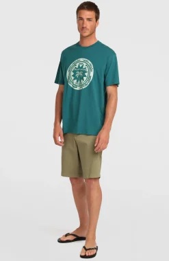 HerenO'Neill Must-Have Graphic T-shirt| Groen