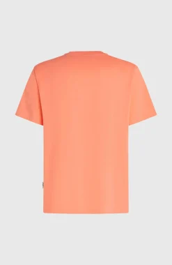 HerenO'Neill Must-Have Graphic T-shirt| Oranje