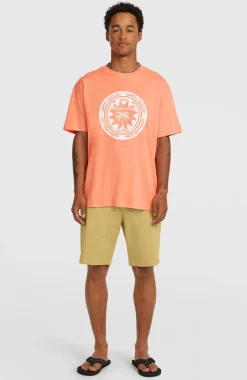 HerenO'Neill Must-Have Graphic T-shirt| Oranje
