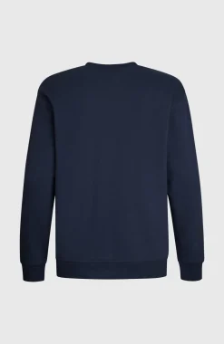 HerenO'Neill Small Logo Crew sweater| Blauw