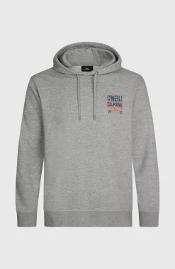 HerenO'Neill Small Logo hoodie| Grijs