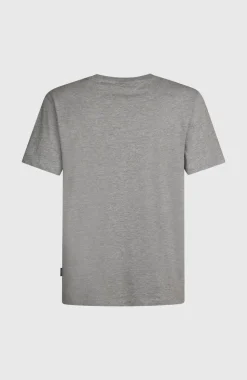 HerenO'Neill Small Logo T-shirt| Grijs