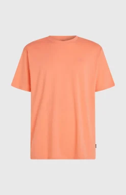 HerenO'Neill Small Logo T-shirt| Oranje