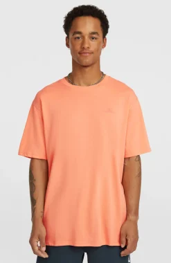 HerenO'Neill Small Logo T-shirt| Oranje
