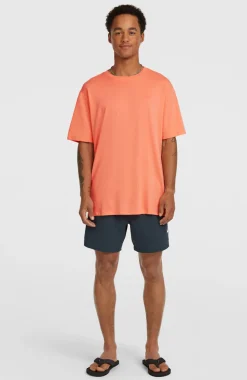 HerenO'Neill Small Logo T-shirt| Oranje