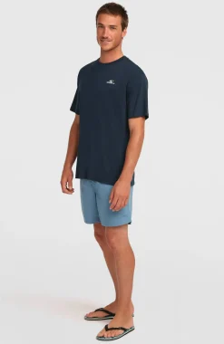 HerenO'Neill Small Logo T-shirt| Blauw