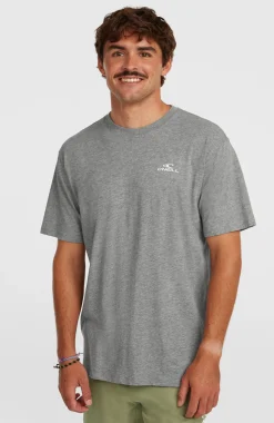 HerenO'Neill Small Logo T-shirt| Grijs