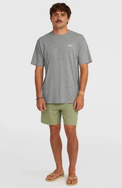 HerenO'Neill Small Logo T-shirt| Grijs