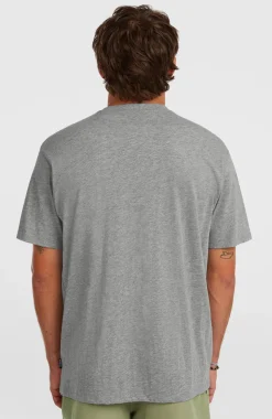 HerenO'Neill Small Logo T-shirt| Grijs